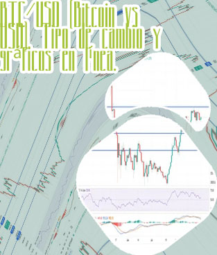 Btc ti usd