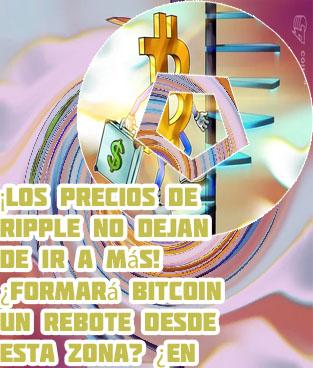 Precio de bitcoin hoy